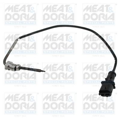 Sensor, exhaust gas temperature